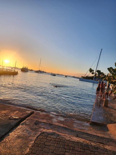 Learn about the History of Bayahibe and Bathe in 7 Springs - Image 7