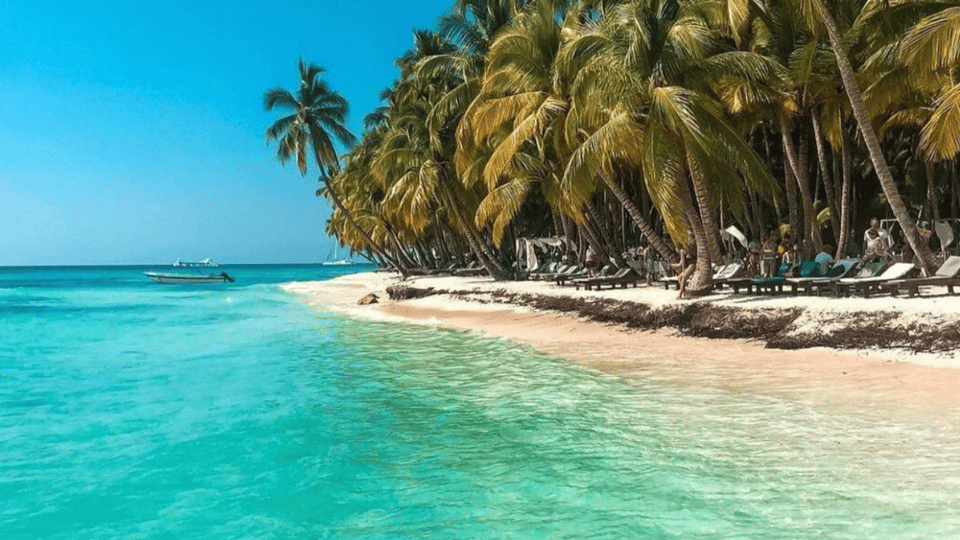Saona Island Ganztägig mit Abholung in Ihrem Hotel Punta Cana