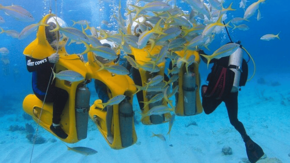 Punta Cana: Scubadoo Explore The Ocean - Obrázek 9