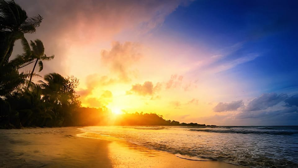 Punta Cana: Sunset Horseback Ride in Macao Beach and Forest - Bild 2