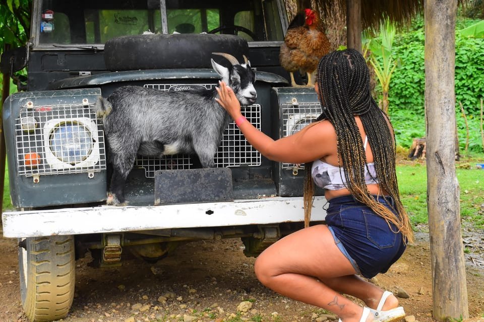 Punta Cana: Zipline, Chairlift, Buggy & Horse Ride Adventure - Image 10