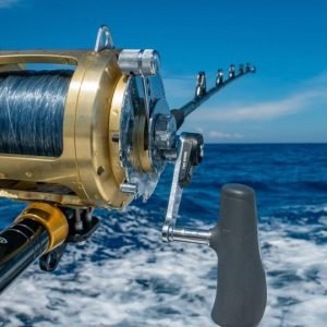 4 Hour Deep Sea Fishing Experience From Punta Cana