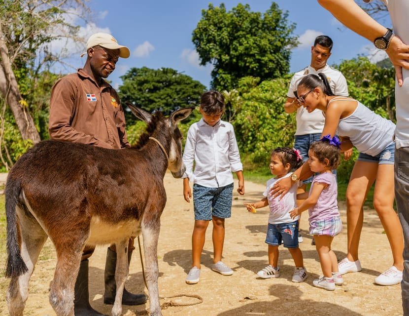 Punta Cana: Zipline, Chairlift, Buggy & Horse Ride Adventure - Image 12