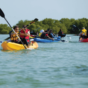 Sabana de la Mar: Los Haitises Guided Hike and Kayaking