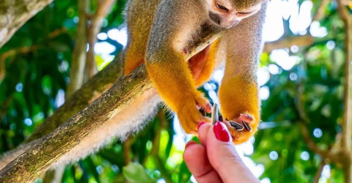 Punta Cana: Opičí země a prohlídka plantáží