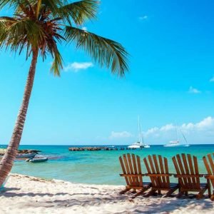 Von Punta Cana aus: Ganztagesausflug zur Insel Saona