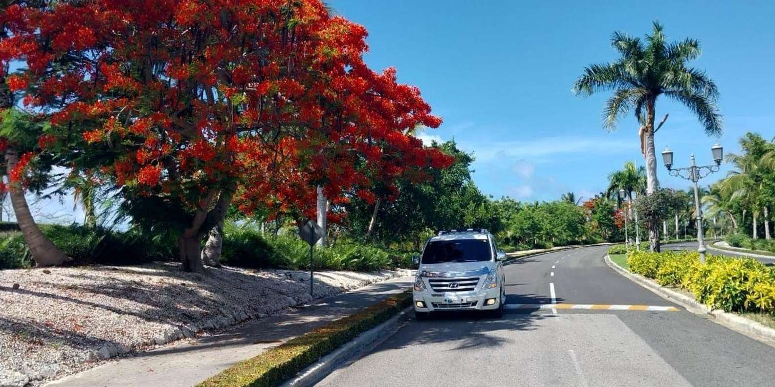 Private Transfer Punta Cana Airport to Bahia P. Bouganville - Image 2