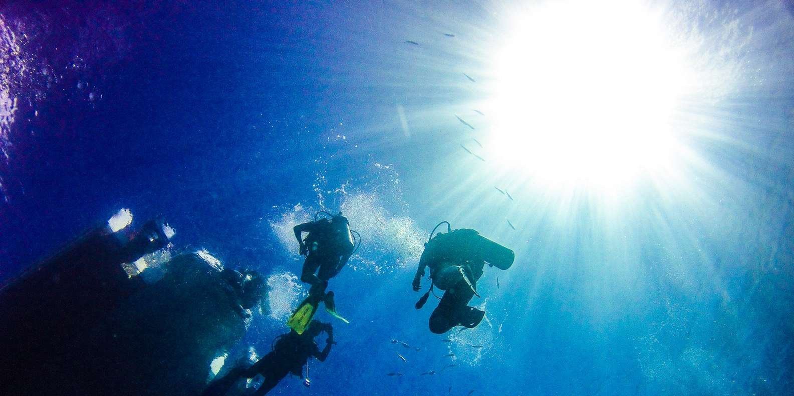 La Romana: Scuba Diving in Catalina Island - Image 11