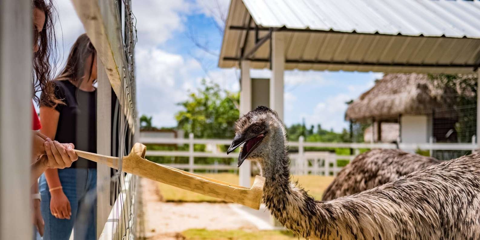 Punta Cana: Xploration Animal Park Bus Tour with Encounters - Obrázek 12