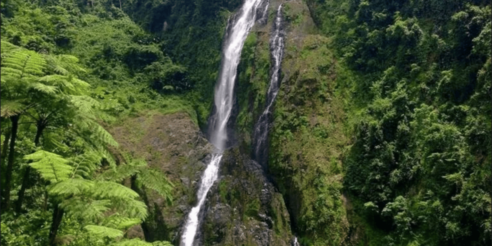Punta Cana: Salto La Jalda & Montana redonda - Bild 3