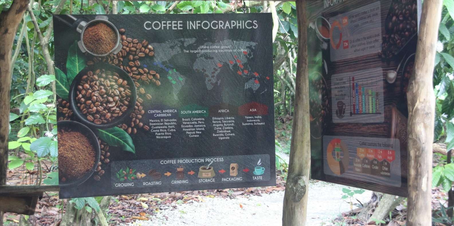 Punta Cana E-bike tour: Macao, El Salado, Ceiba, El Caño - Immagine 3