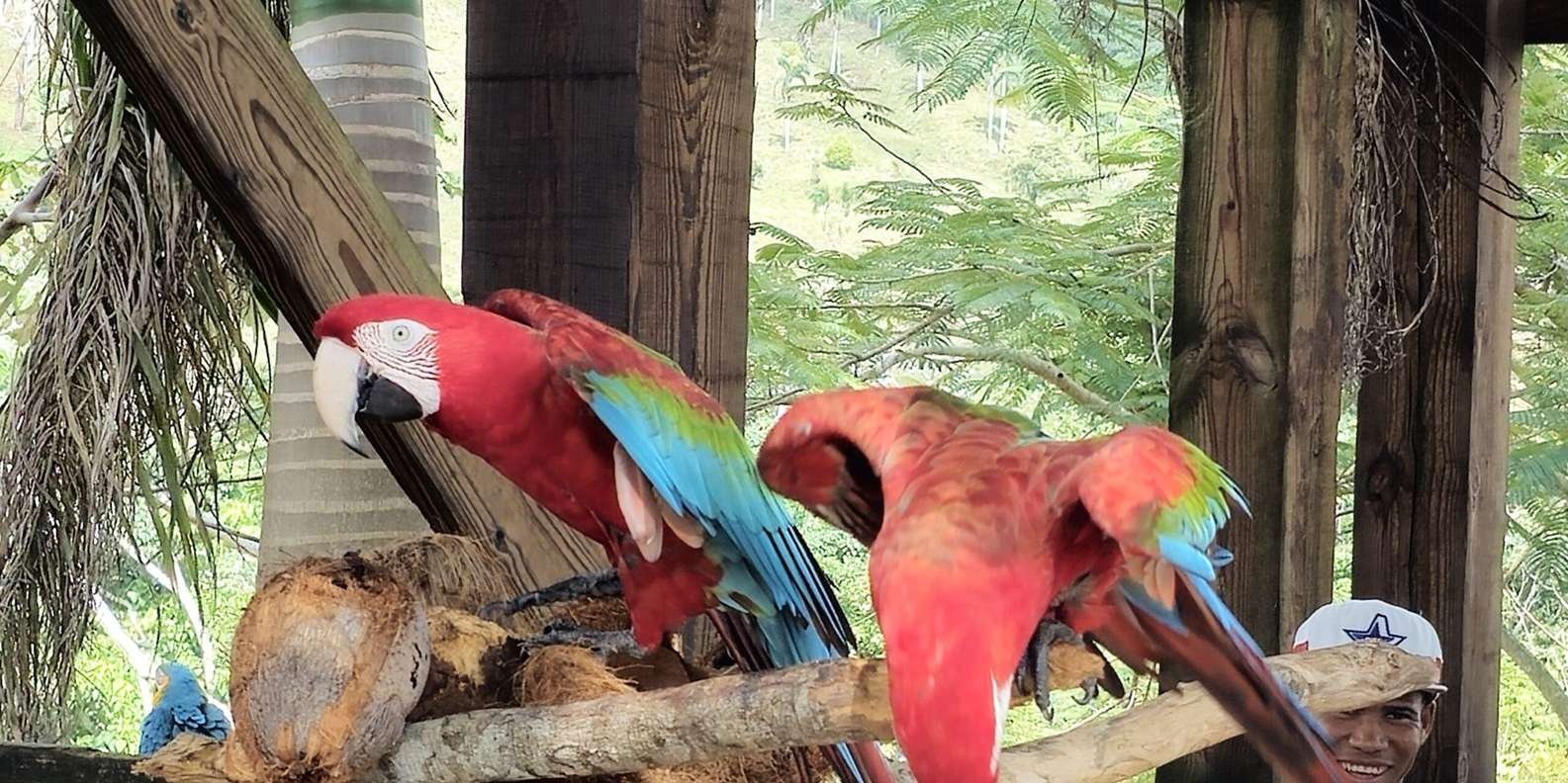 Punta Cana: La Hacienda Park - Obrázek 3