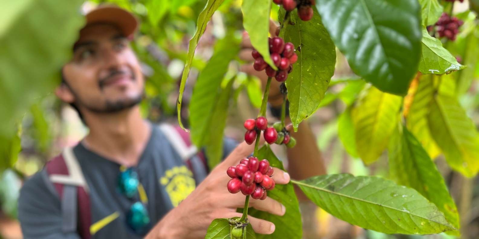 Las Terrenas: Private Coffee Trail ATV Tour in Samana - Image 3