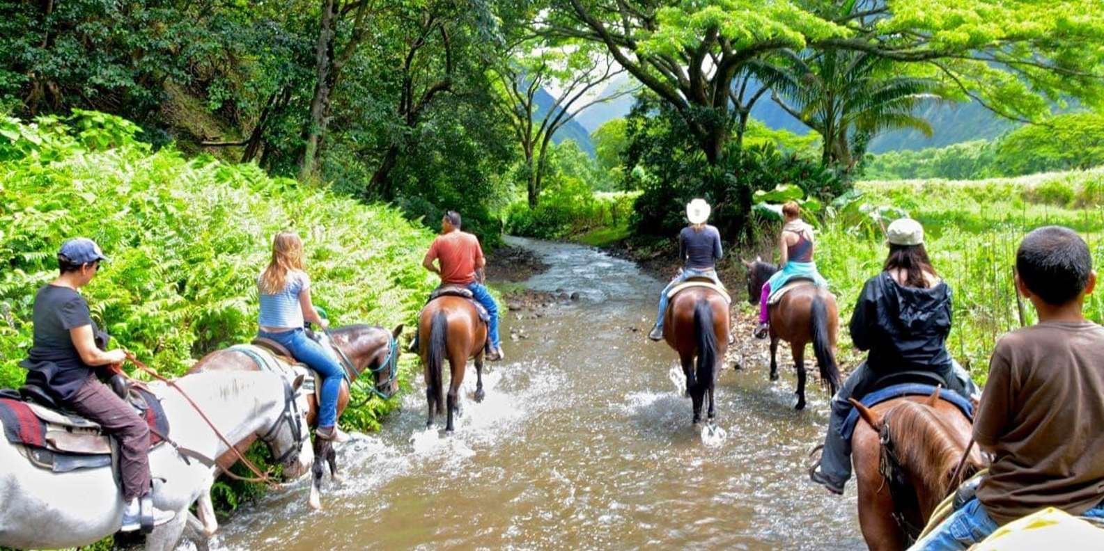 Full-Day Safari Outdoor Adventure in Punta Cana - Image 4