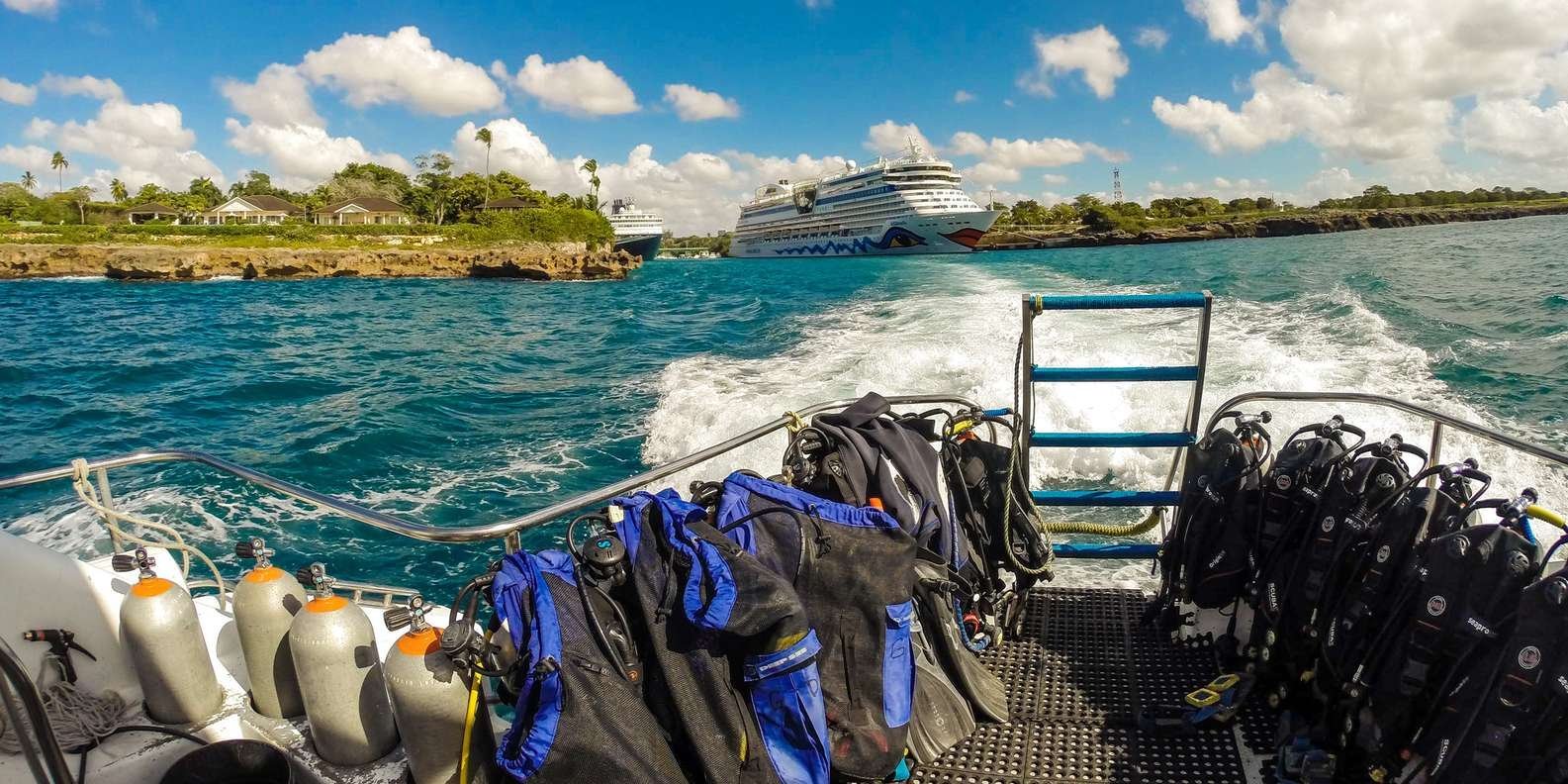 La Romana: Scuba Diving in Catalina Island - Image 4