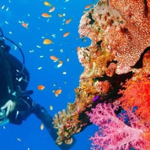 Avventura subacquea ricreativa Punta Cana 40ft