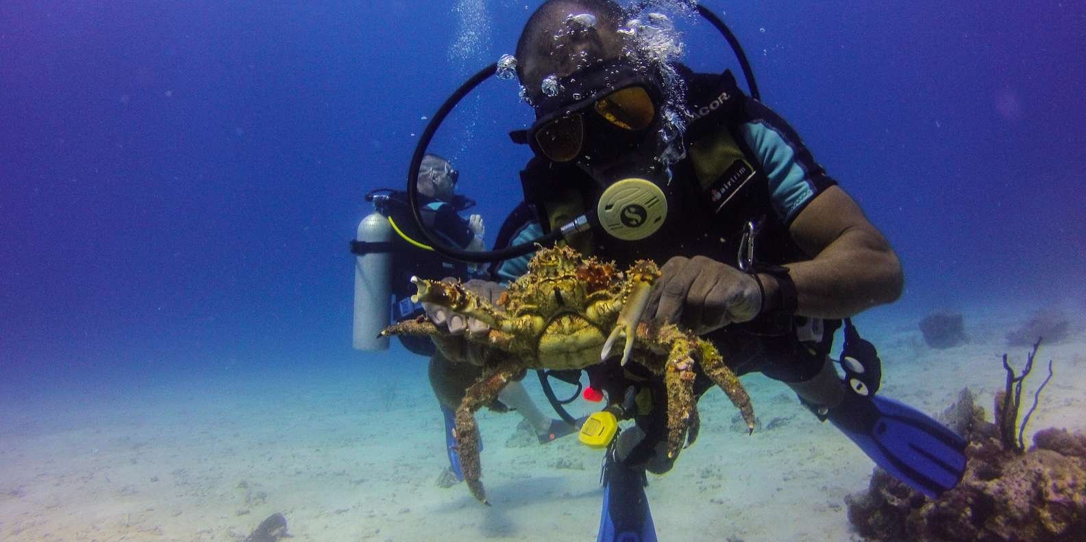 La Romana : Plongée sous-marine sur l'île de Catalina
