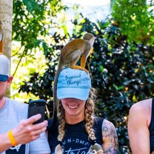 Samaná: Samaná: Opičí země a prohlídka kamionu Safari pod širým nebem