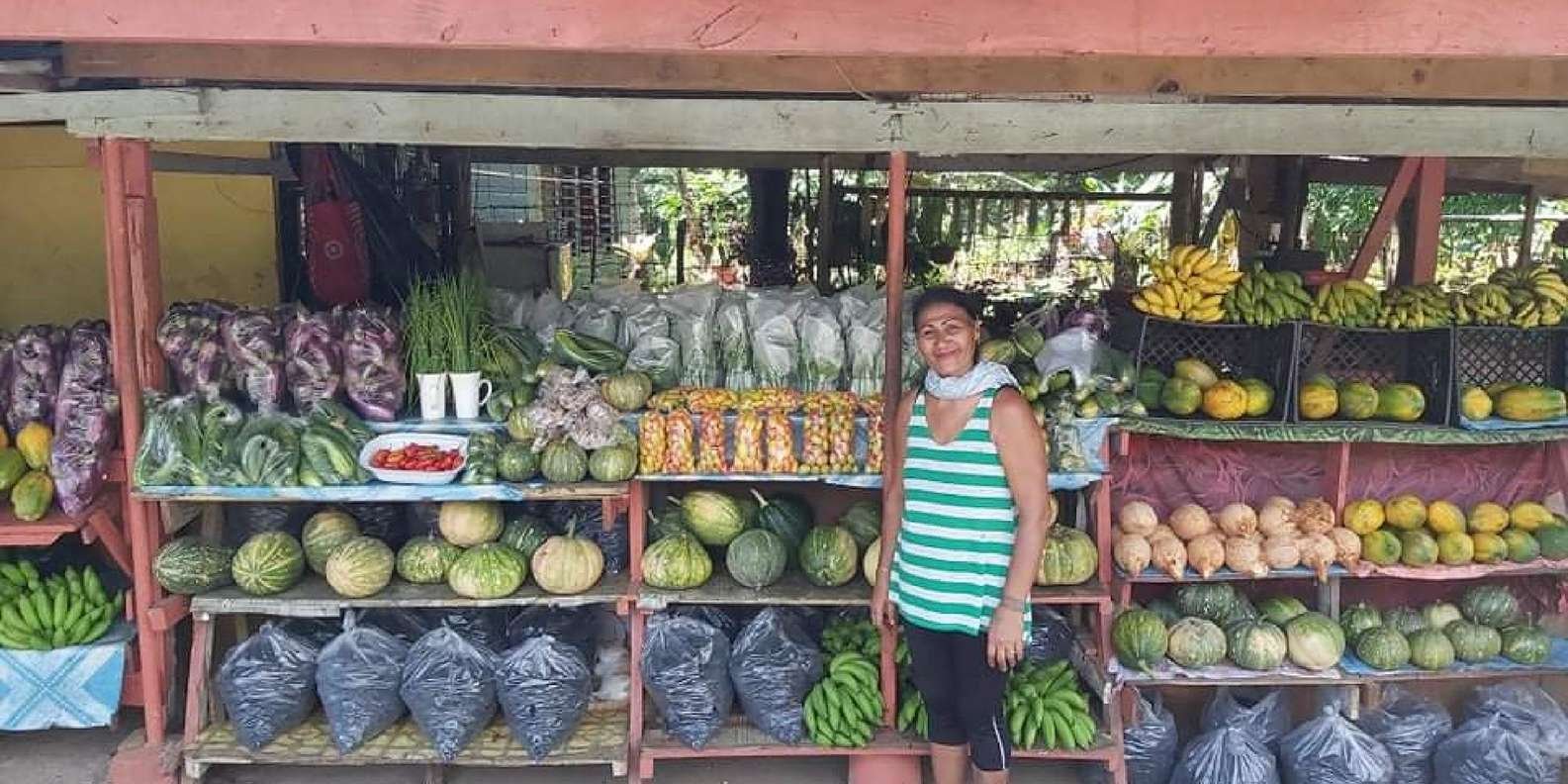 Punta cana: 3 hour panoramic with artisan market small group - Obrázek 5