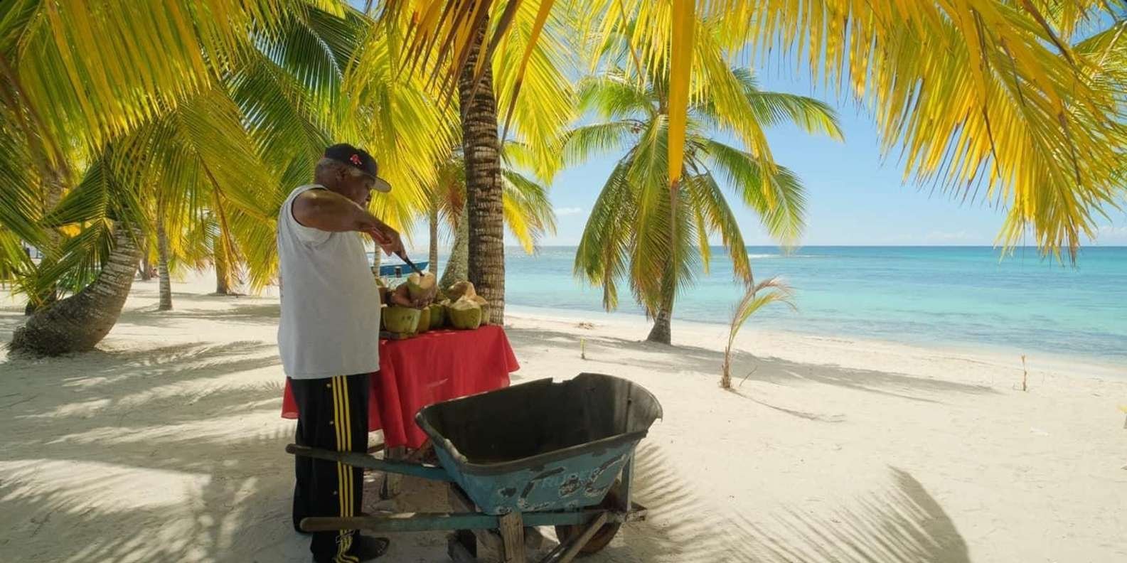 Saona Island Excursion Punta Cana - Image 5