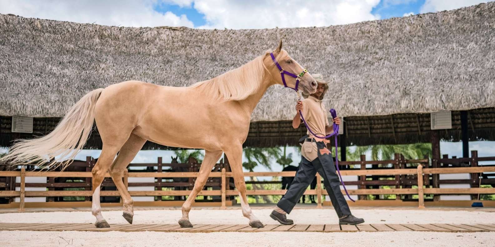 Punta Cana: Xploration Animal Park Bus Tour with Encounters - Obrázek 4