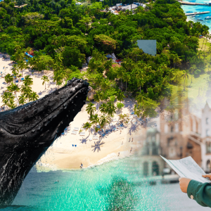 Whale Watching + Cayo Levantado