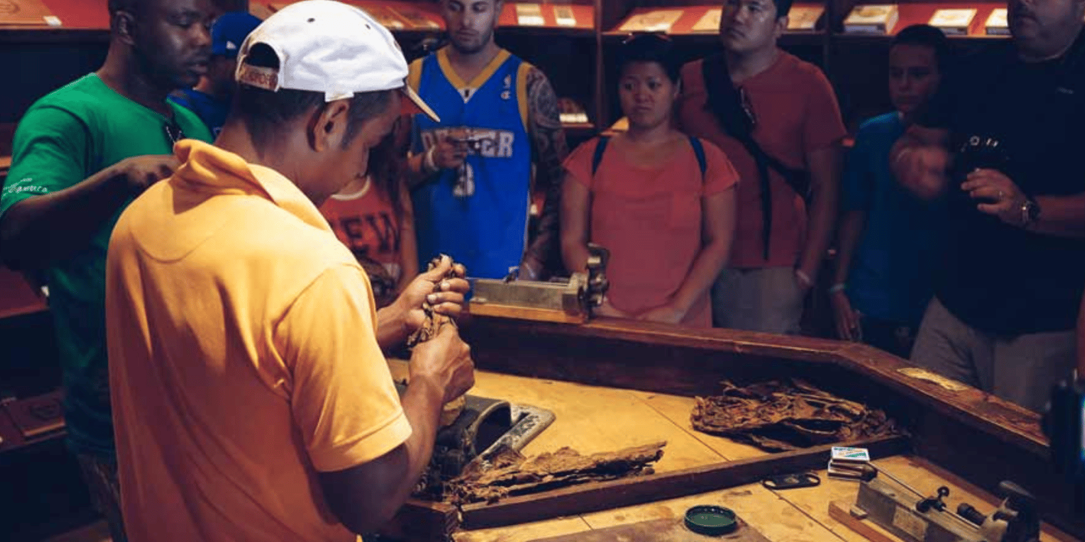 Samana: Full day Samana Amazing tour Punta Cana - Immagine 7