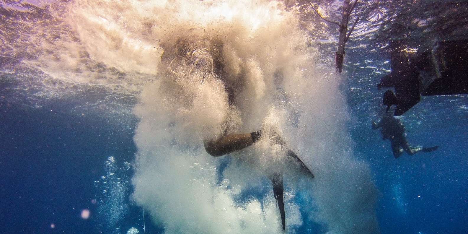 La Romana: Scuba Diving in Catalina Island - Image 7