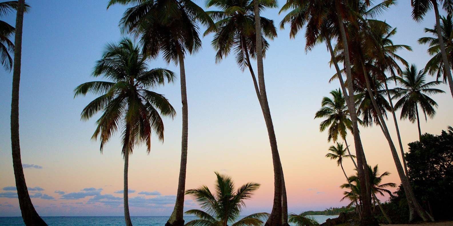 Samaná Adventure: Rincón Beach & Cayo Levantado Experience - Immagine 8