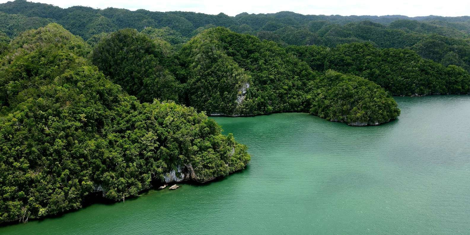 Los Haitises: Boat Excursion and Walking Tour with Lunch - Immagine 8