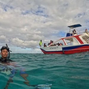 Croisière privée en catamaran