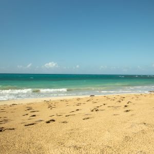 Kompletní prohlídka Samaná: Jackson Beach - Pěší turistika, sjíždění řeky a šnorchlování z La Majagua.