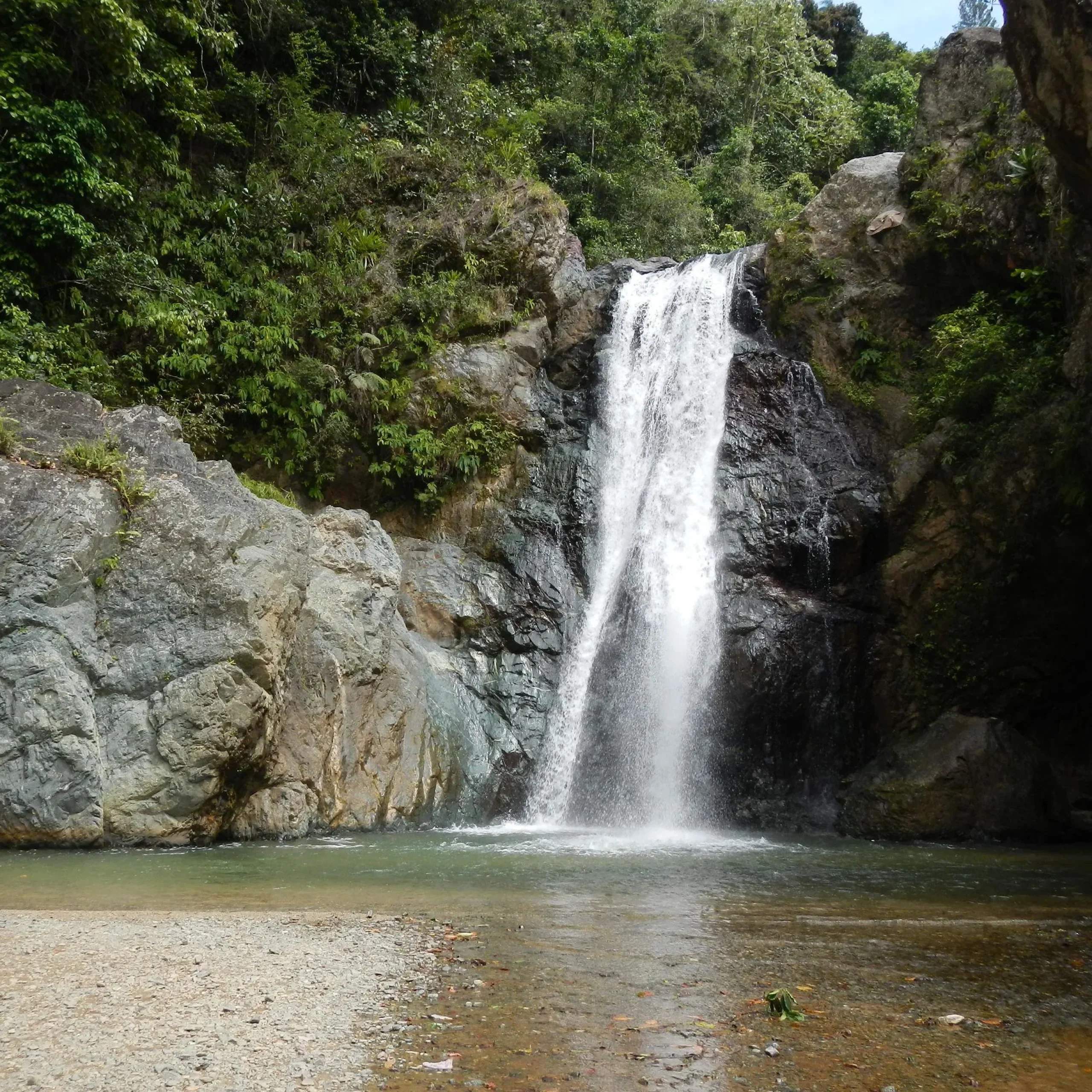 Horseback Riding Adventure to Salto Baiguate - Obrázek 4