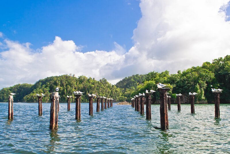 Las Terrenas: Los Haitises & Bacardi Island (Cayo Levantado) - Image 4