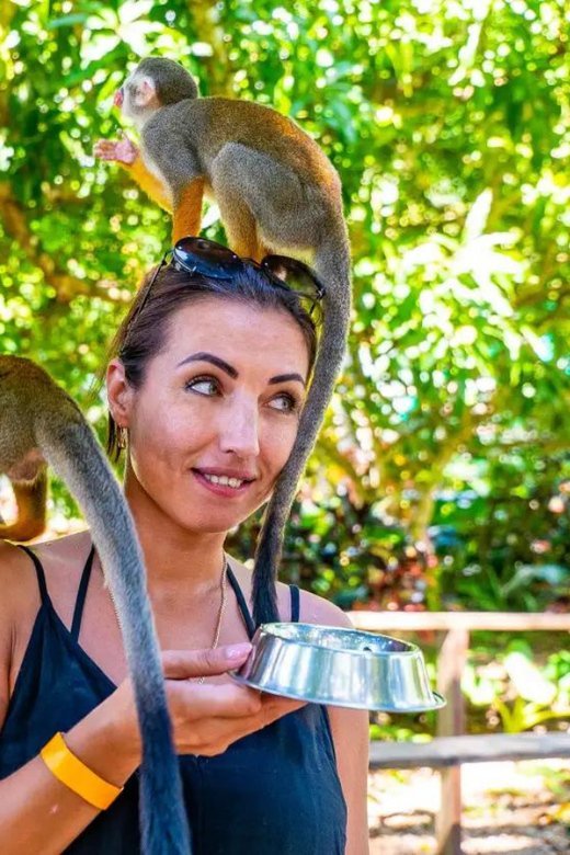 Punta Cana: Monkeyland and Plantation Tour - Obrázek 2